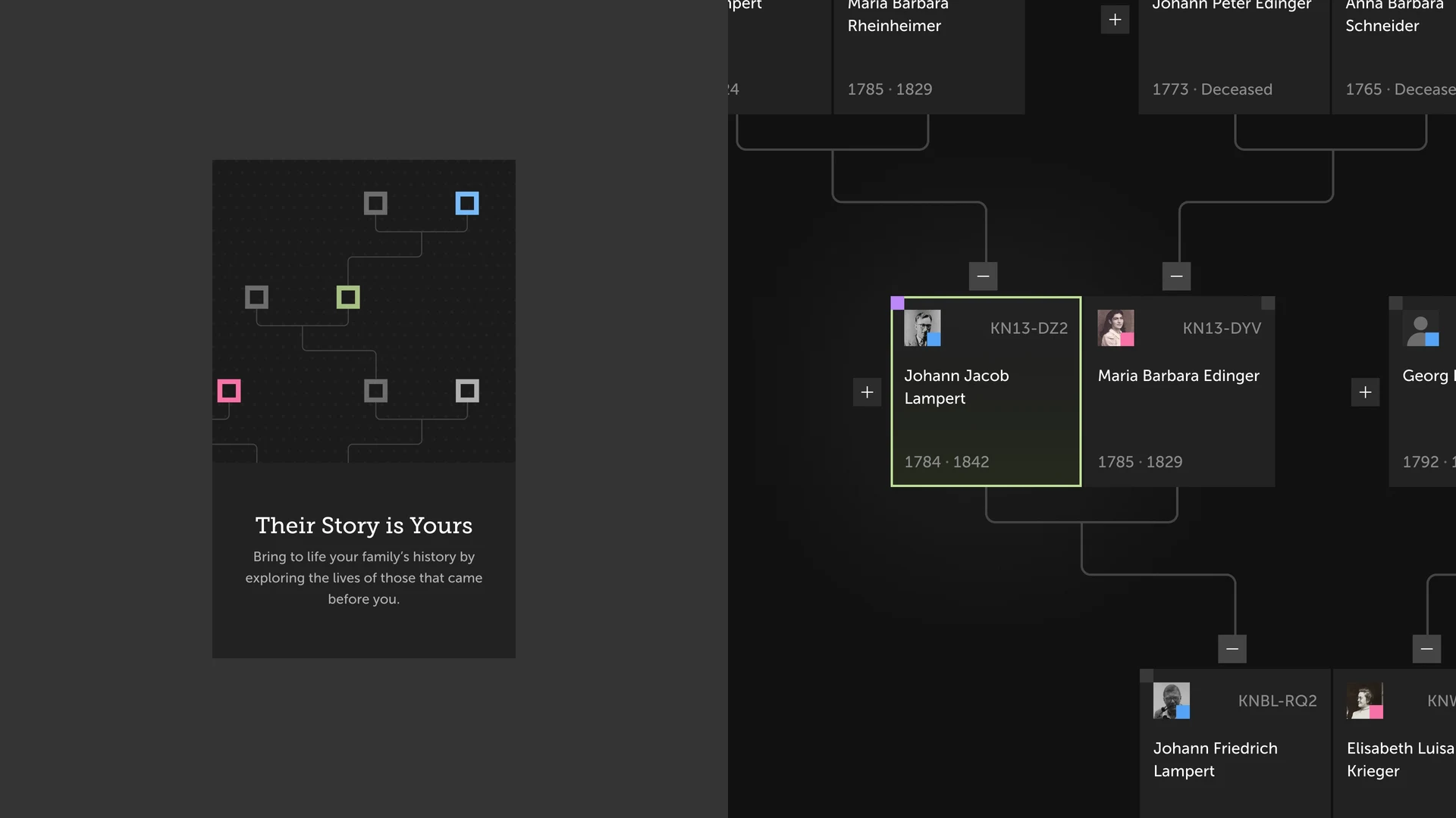 Connected hollow squares above Their Story is Yours beside a detailed family tree